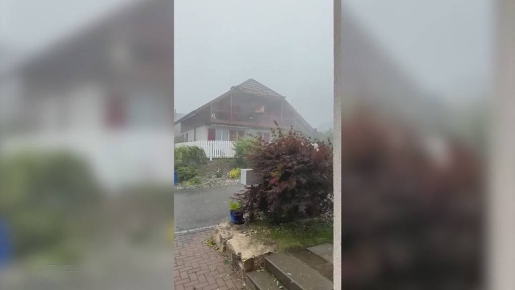 Heftiges Unwetter: Mädchen in Zofingen von abknickendem Baum schwer verletzt