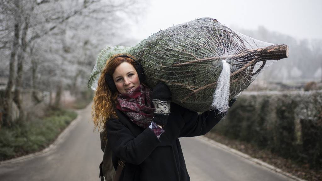 Mietet euch einen Christbaum!