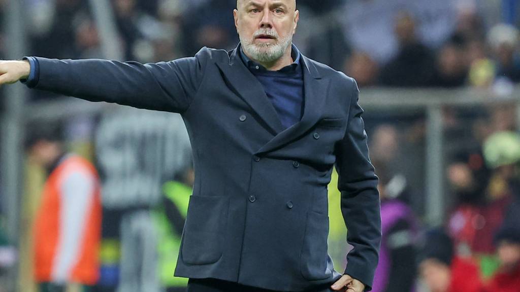 Sergej Barbarez hat als bosnischer Nationaltrainer in kurzer Zeit viel bewirkt