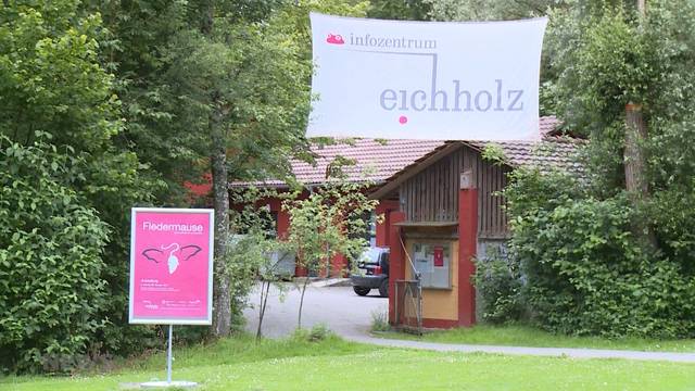 Infozentrum Eichholz: Schliessung trotz grossem Erfolg?