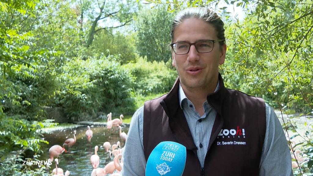 Rekurs verzögert den Bau einer Südamerika-Voliere im Zoo