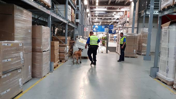 Hunde suchen in Ikea nach Sprengstoff