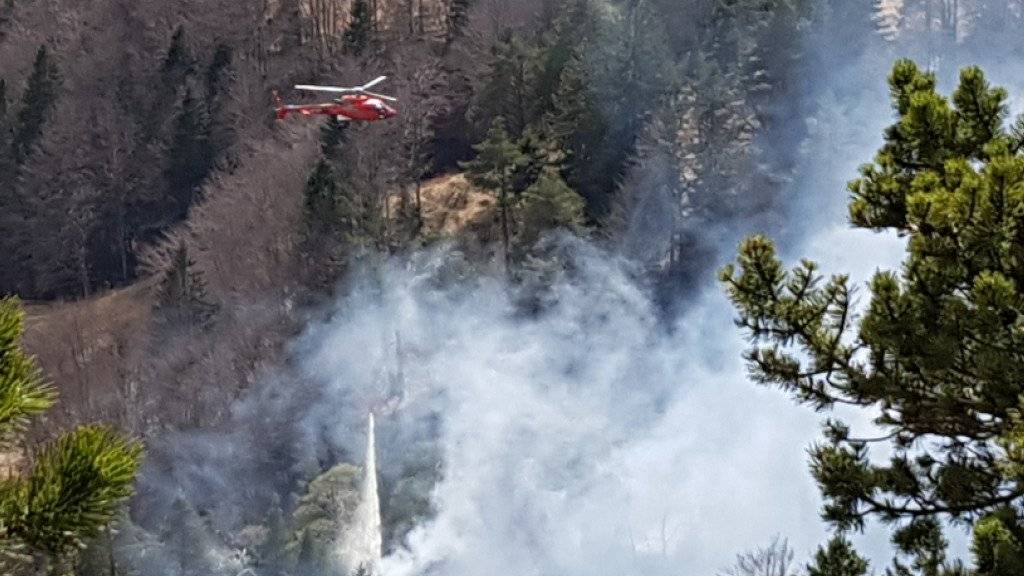 Der Waldbrand in Günsberg SO wurde am Sonntag mit einem Helikopter bekämpft. Am Montag brach das Feuer wieder aus.