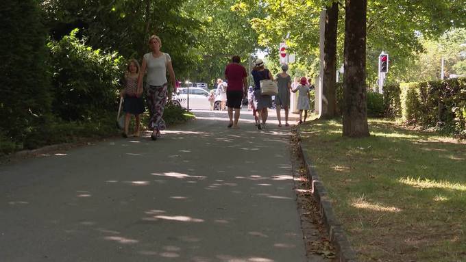 Erneute Falschmeldung: BAG wird von Politiker kritisiert