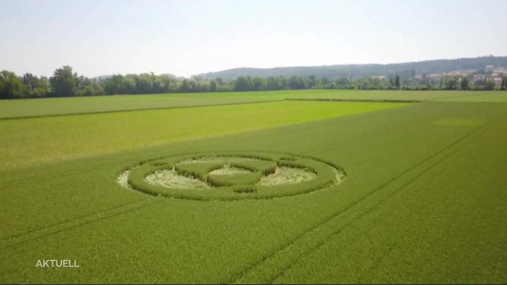 Kornkreis in Lüsslingen auf einem Weizenfeld 