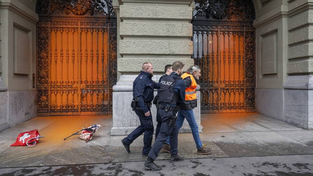 Farbanschlag auf Bundeshaus – Aktivist von Polizei abgeführt