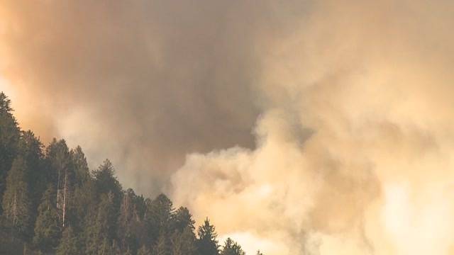 Bereits 170 Hektar Wald niedergebrannt