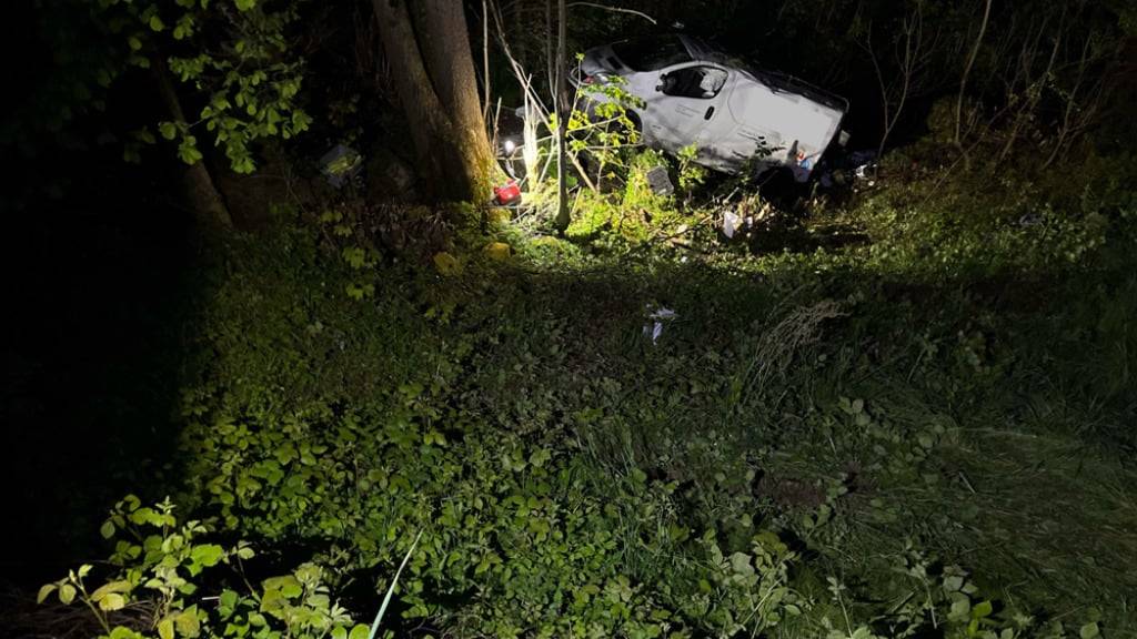 Am 17. Mai 2023 kam der Lieferwagen bei Oberegg AI von der Strasse ab und überschlug sich mehrfach. Ein 49-jähriger Beifahrer verstarb auf der Unfallstelle. (Archivbild)