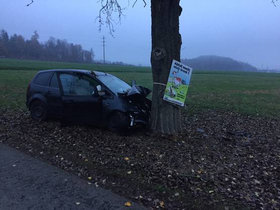 A 50-year-old man arrives with his Ford Focus from the road and bounces into a tree. He dies and dies under the impact.