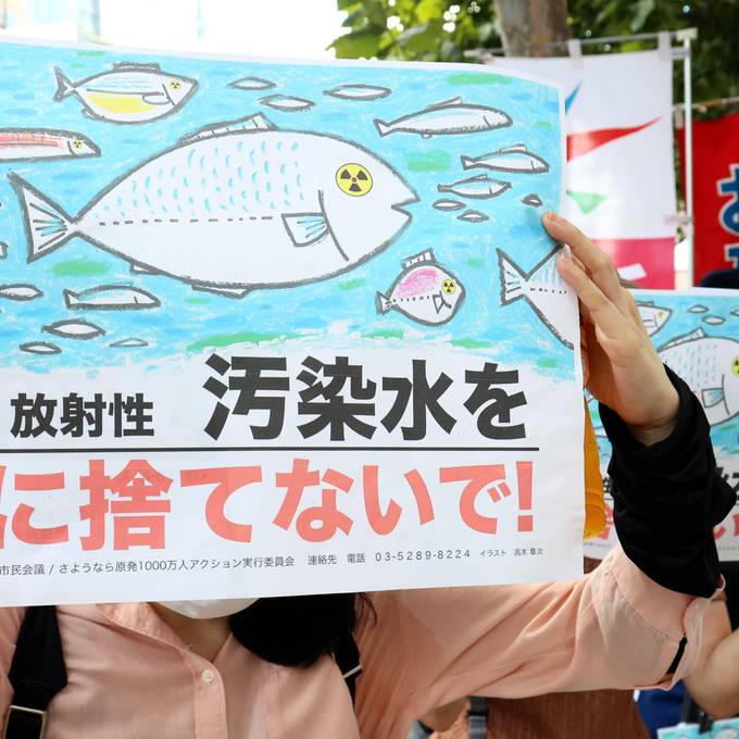 Warum China jetzt keinen japanischen Fisch mehr isst