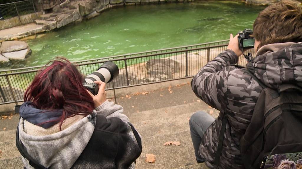 Tierliebe extrem: Beatrice und ihre Zoopassion