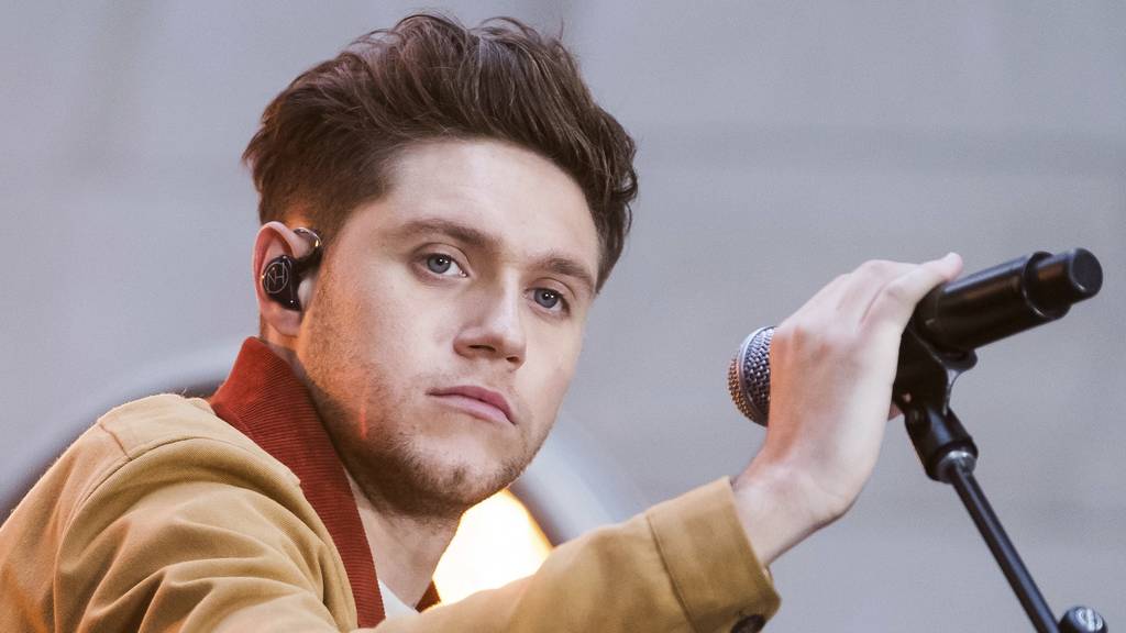 Niall Horan, Sänger bei One Direction, verkaufte einen angebissenen Toast.