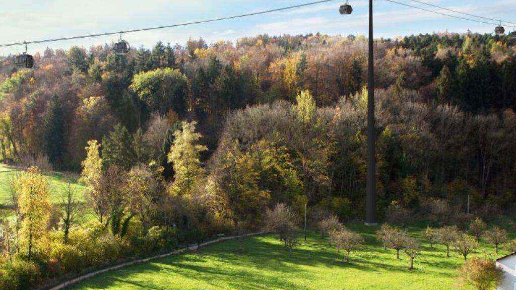 Eine Visualisierung der geplanten Zoo-Seilbahn.