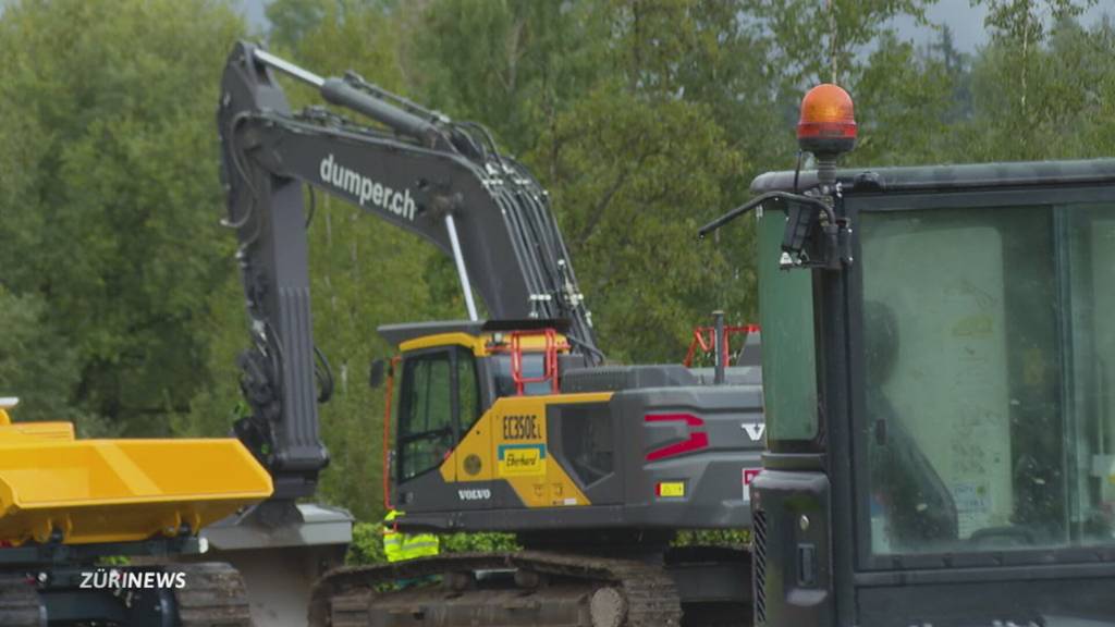Allmend Katzensee wird schrittweise wieder zu Feuchtgebiet