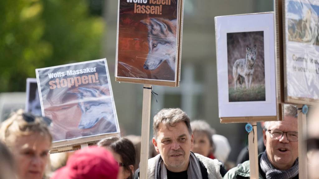 Hunderte Menschen forderten am Samstag vor dem Bundeshaus in Bern ein Ende des «Wolfsmassakers».