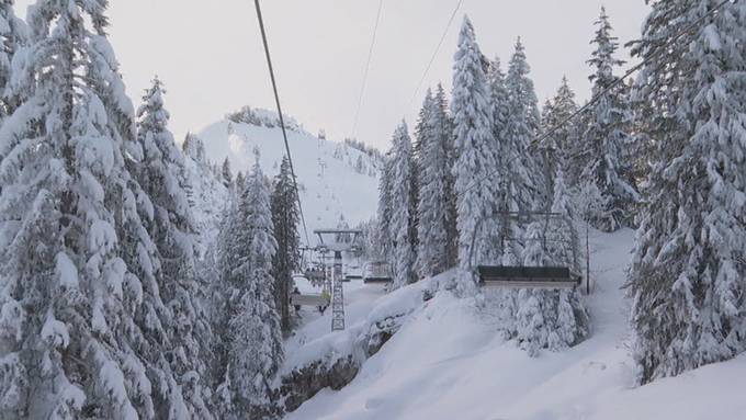 «Natur ist der Chef in den Bergen» – so schützen sich Schweizer Skigebiete