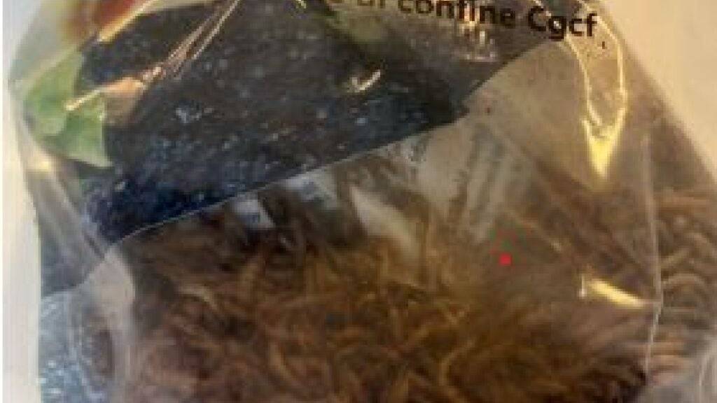 Die betrügerischen Handwerker gaukelten einer Seniorin in Stetten vor, ihr Haus sei mit Holzwürmern befallen.