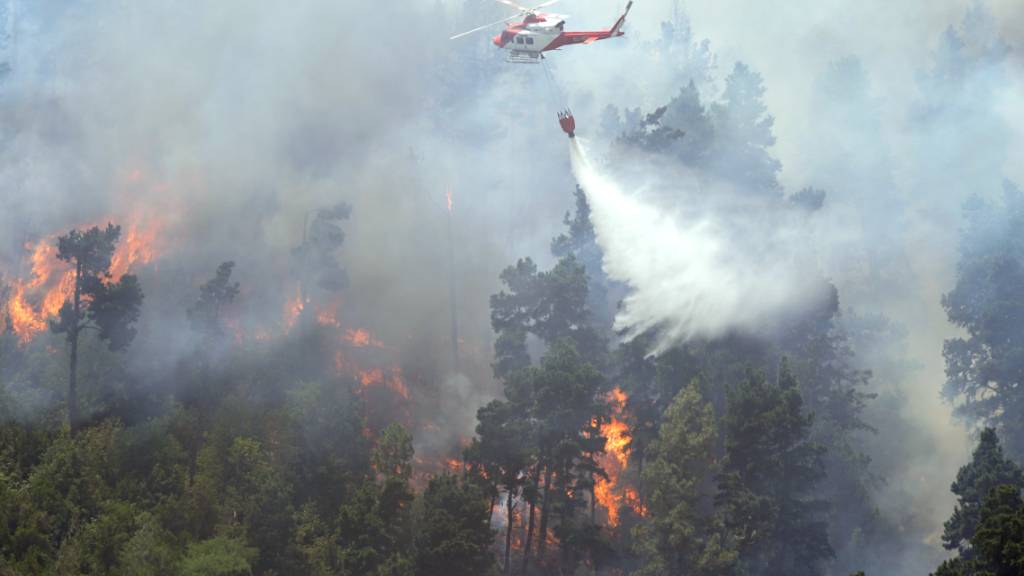 Waldbrände in Spanien – nun Sorge um Teneriffa