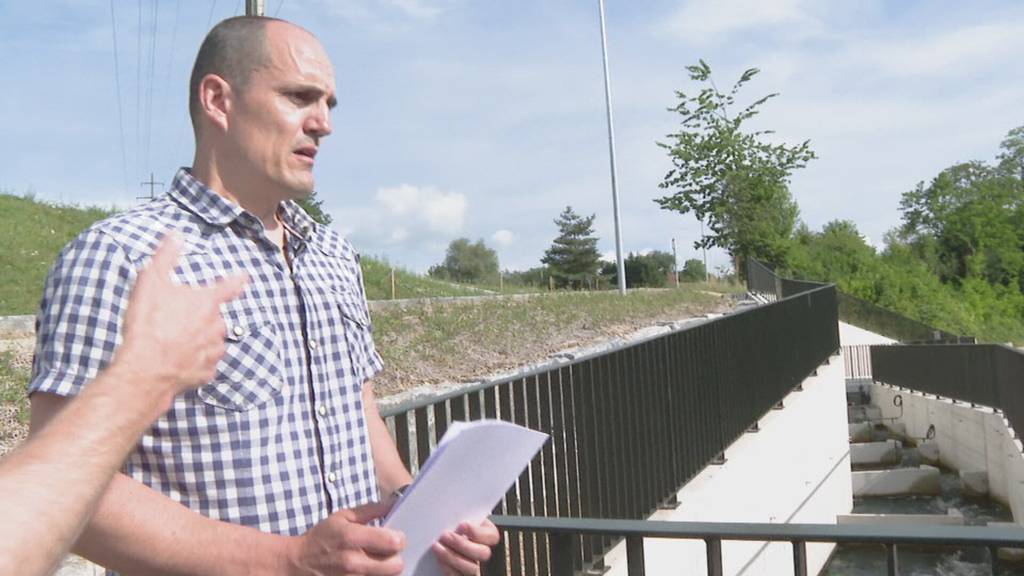 Neuer Fischpass in Bannwil kostet 17 Millionen