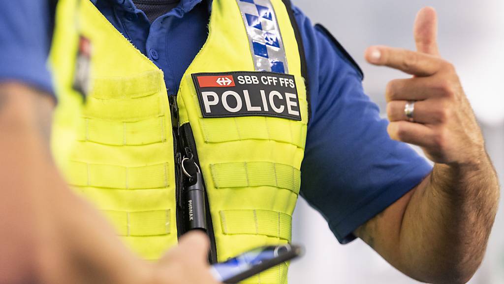 Die Luzerner Polizei nahm den Tatverdächtigen in Zusammenarbeit mit der Transportpolizei der SBB fest. (Symbolbild)