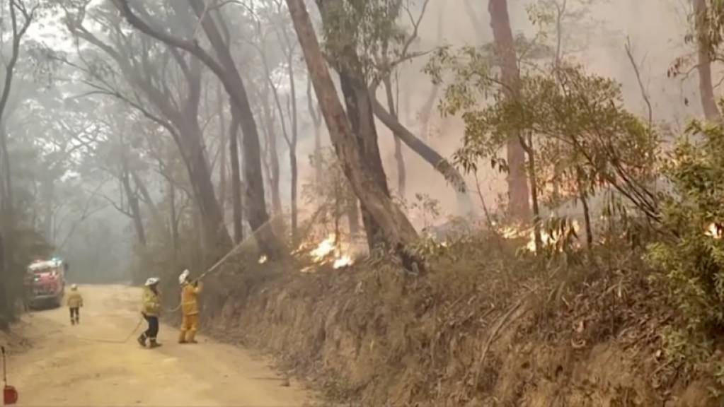 Freiwillige Helfer kämpfen Kurrajong Heights in New South Wales, gegen die Flammen. (Archivbild)