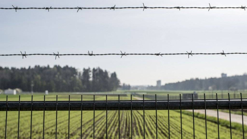 Auf einem umzäunten und bewachten Versuchsfeld von Agroscope in Reckenholz (ZH) soll ein Feldversuch mit gentechnisch veränderten Apfelbäumen stattfinden. (Archivbild)