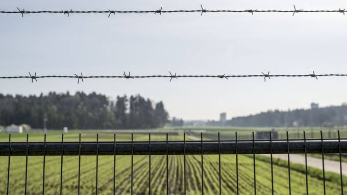 Feldversuch mit gentechnisch veränderten Apfelbäumen bewilligt