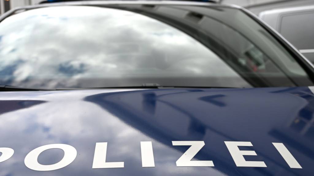 Die Landespolizei Vorarlberg rückte zu einem Unfall am Bahnhof Bregenz aus. (Symbolbild)