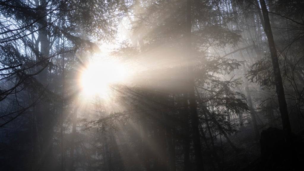 Immer weniger Sonnenlicht wird von der Erde reflektiert. (Symbolbild)