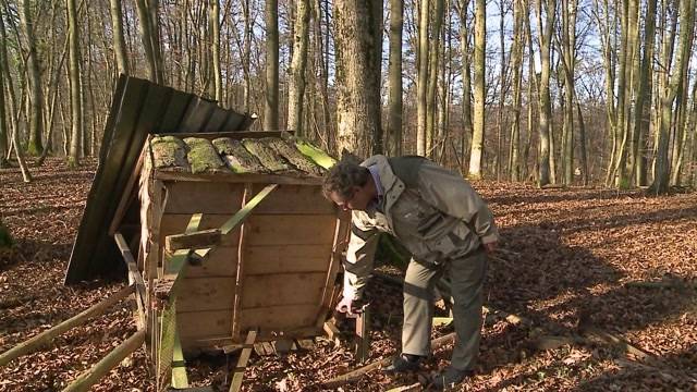 Jäger-Hochsitz in Habsburg beschädigt