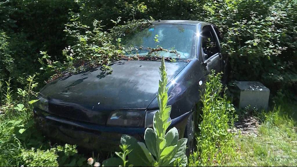 Verwachsener Fiat steht seit Jahren auf Parkplatz in Suhr