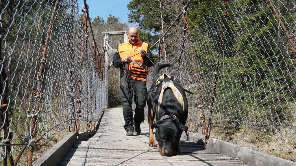 St.Galler Polizeihund Yukon vom Amtsbach findet Vermissten (75)
