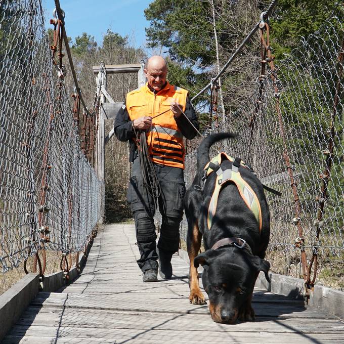 St.Galler Polizeihund Yukon vom Amtsbach findet Vermissten (75)