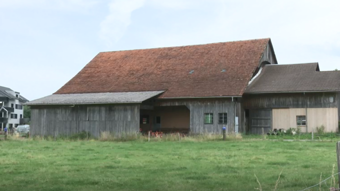 Schweinestall in Schachen muss stillgelegt werden