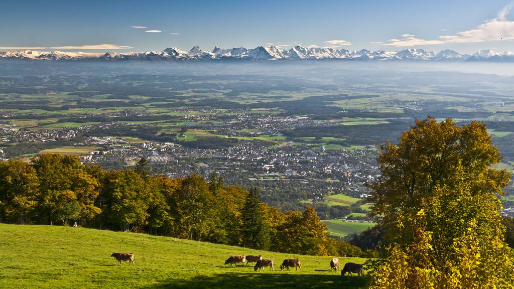 Mittelland_Kanton Solothurn_Landschaft