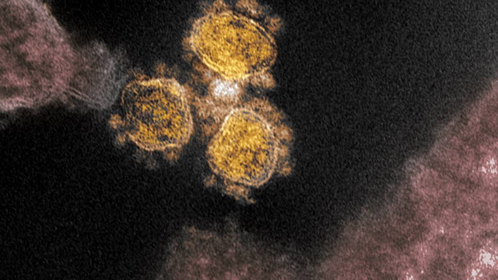 Die neue Mutation des Coronavirus unterscheidet sich im Spike-Protein von den bisherigen. (Archivbild)