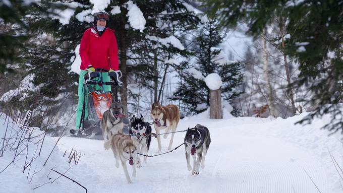 Schlittenhundesport mit Mona Suter