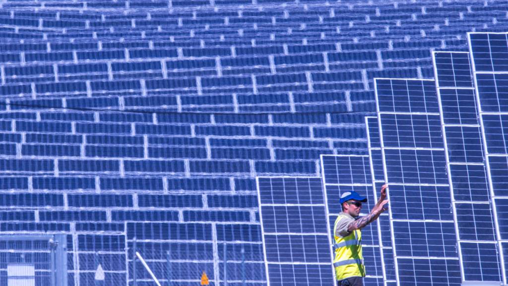 Unternehmen, die auf klimafreundliche Produkte wie Solarpanels setzen, sollen laut einer neuen Studie bis 2030 stark wachsen. (Symbolbild)