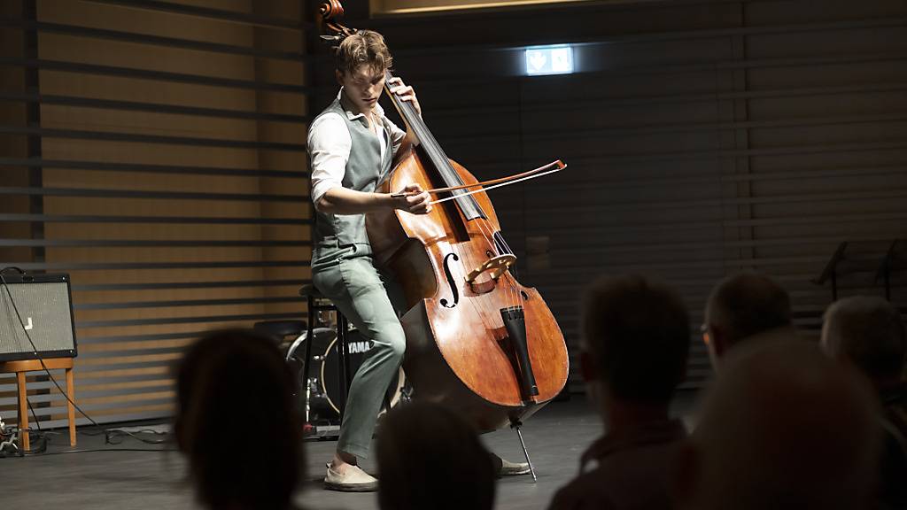 Der Kanton Luzern erhält künftig zusätzliche Gelder für die musikalische Begabtenförderung. (Symbolbild)