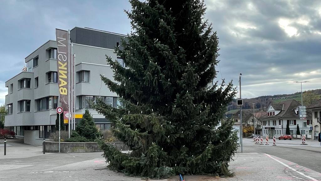 Weihnachtsbaum mit Solaranlage in Münsingen.