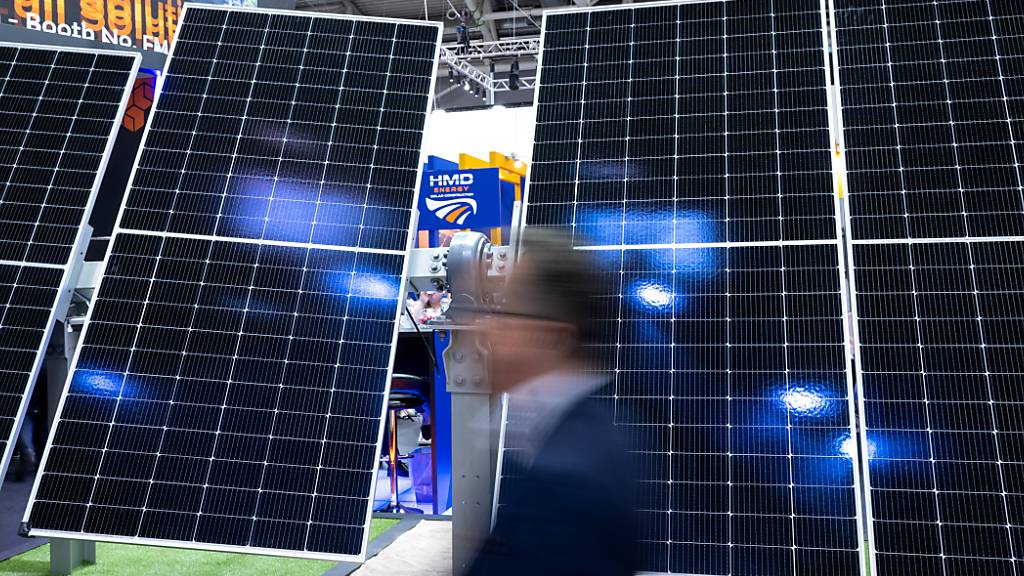 ARCHIV - Solarmodule sind auf einer Messe zu sehen. Foto: Sven Hoppe/dpa