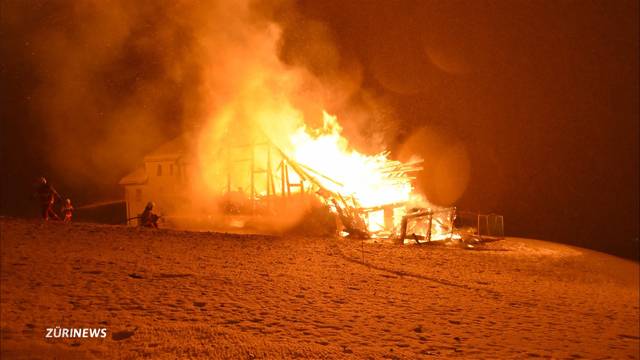 37 Tiere sterben bei Scheunenbrand