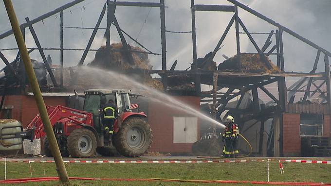 Scheune in Willisau komplett abgebrannt