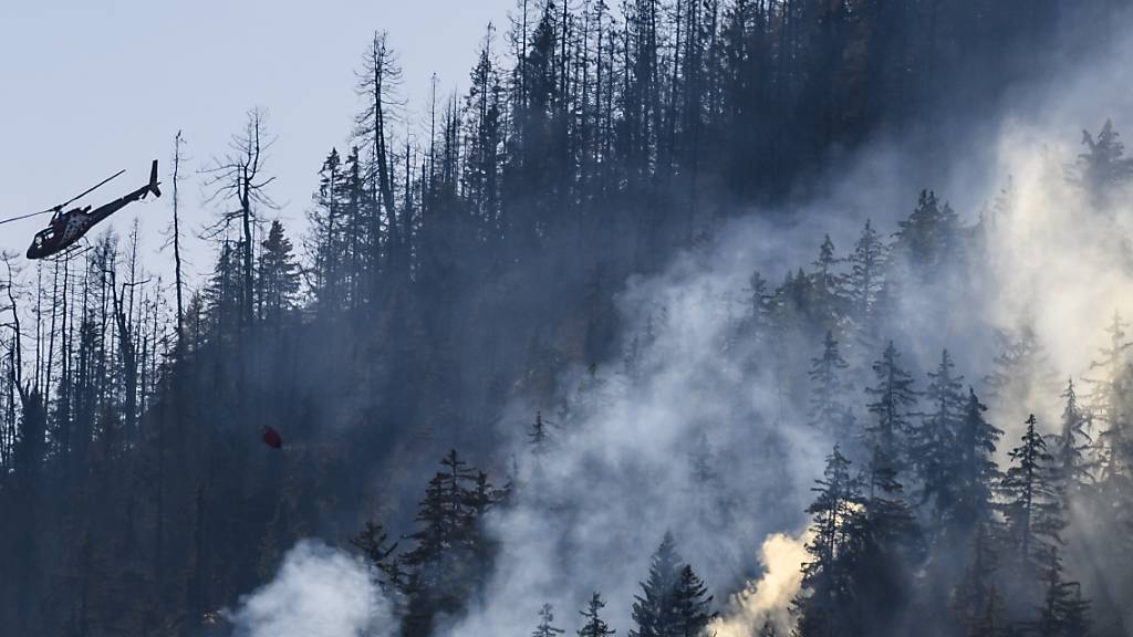 Bei der Bekämpfung des Waldbrandes bei Bitsch VS bekamen die Walliser Feuerwehrleute Unterstützung aus mehreren Kantonen. (Archivbild vom 20.7.)
