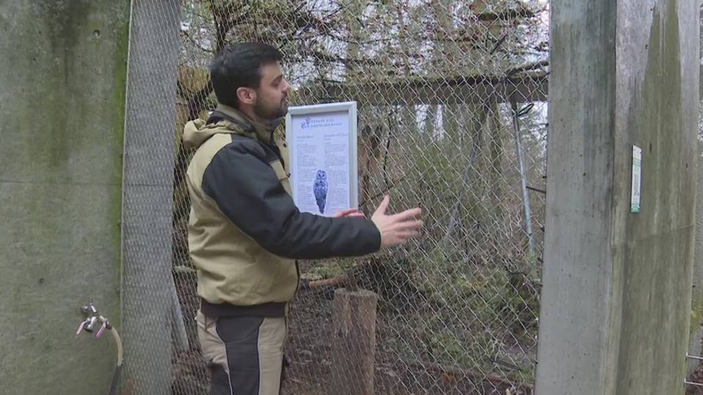 Tierpark Biel bleibt nach Vandalismus-Fall trotz Versicherung auf Schaden sitzen