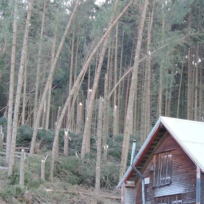 Sturm «Vaia» knickt flächenweise Bäume in Innerrhoder Wäldern