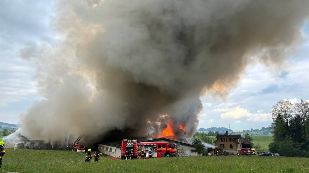 Die Feuerwehr traf die Schweineställe in Gossau SG in Vollbrand an.