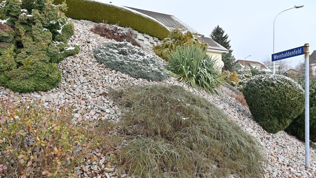 Steingärten in Solothurn verboten: Naturpark Thal gibt Tipps für mehr Grün