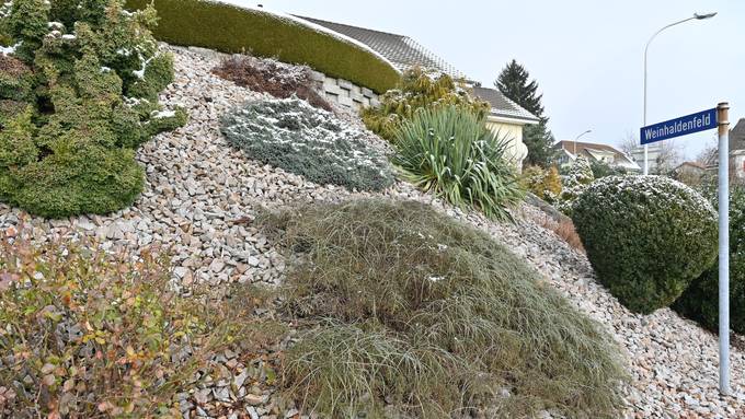Steingärten in Solothurn verboten: Naturpark Thal gibt Tipps für mehr Grün