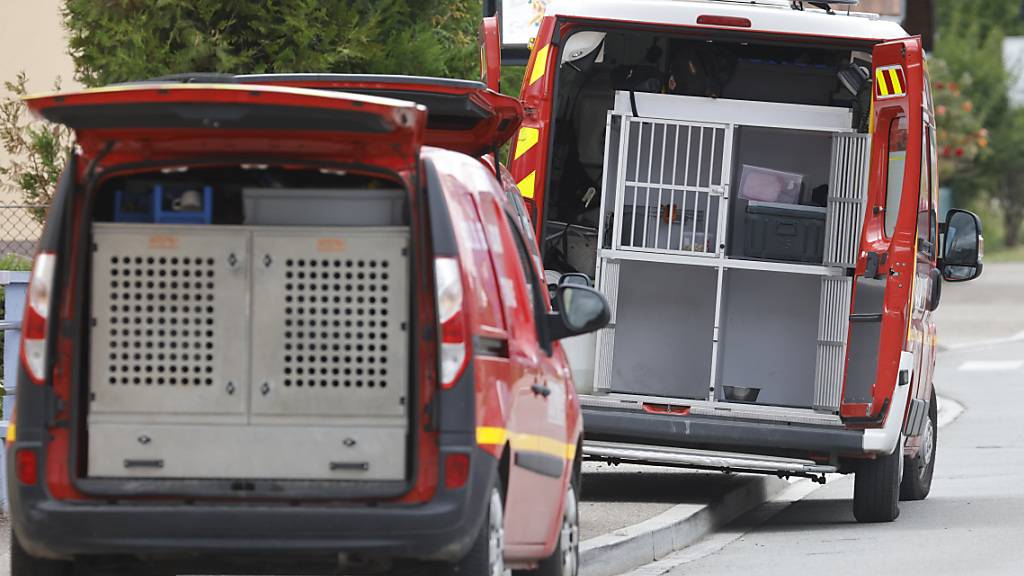 Bei der Suche nach den Vermissten wurde auch eine Hundestaffel eingesetzt. Foto: Philipp von Ditfurth/dpa
